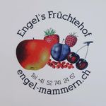 engel_.ch
